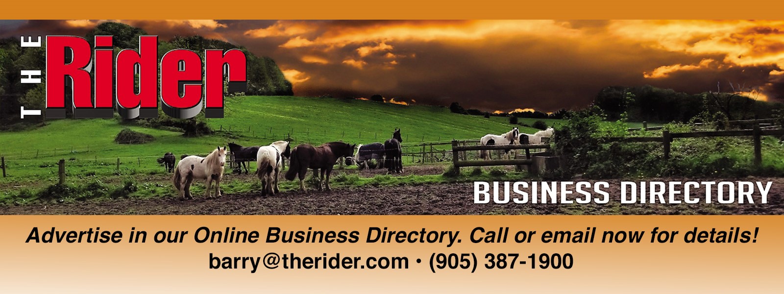 Advertise in The Rider Business Directory