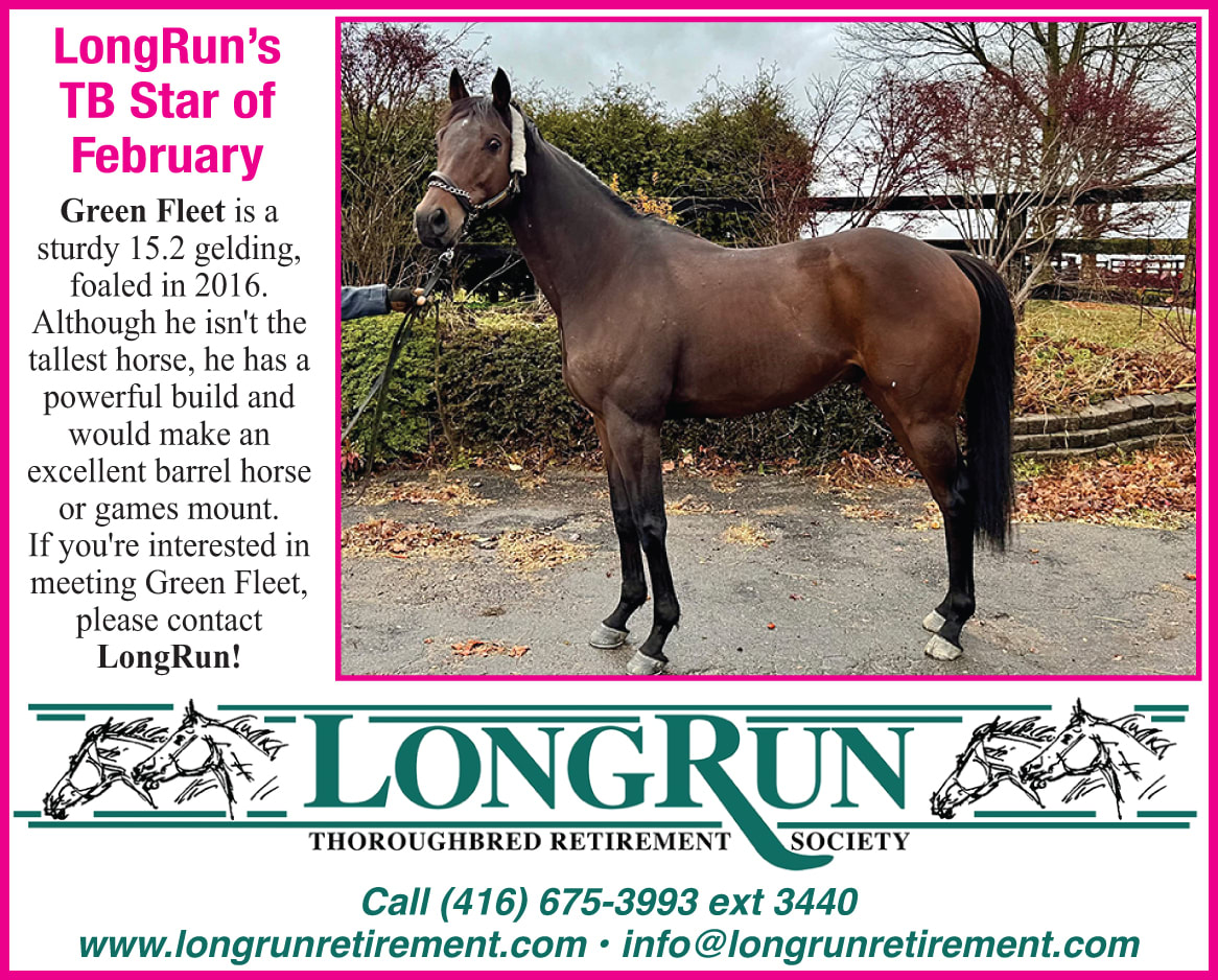 Longrun Thoroughbred Star of the Month