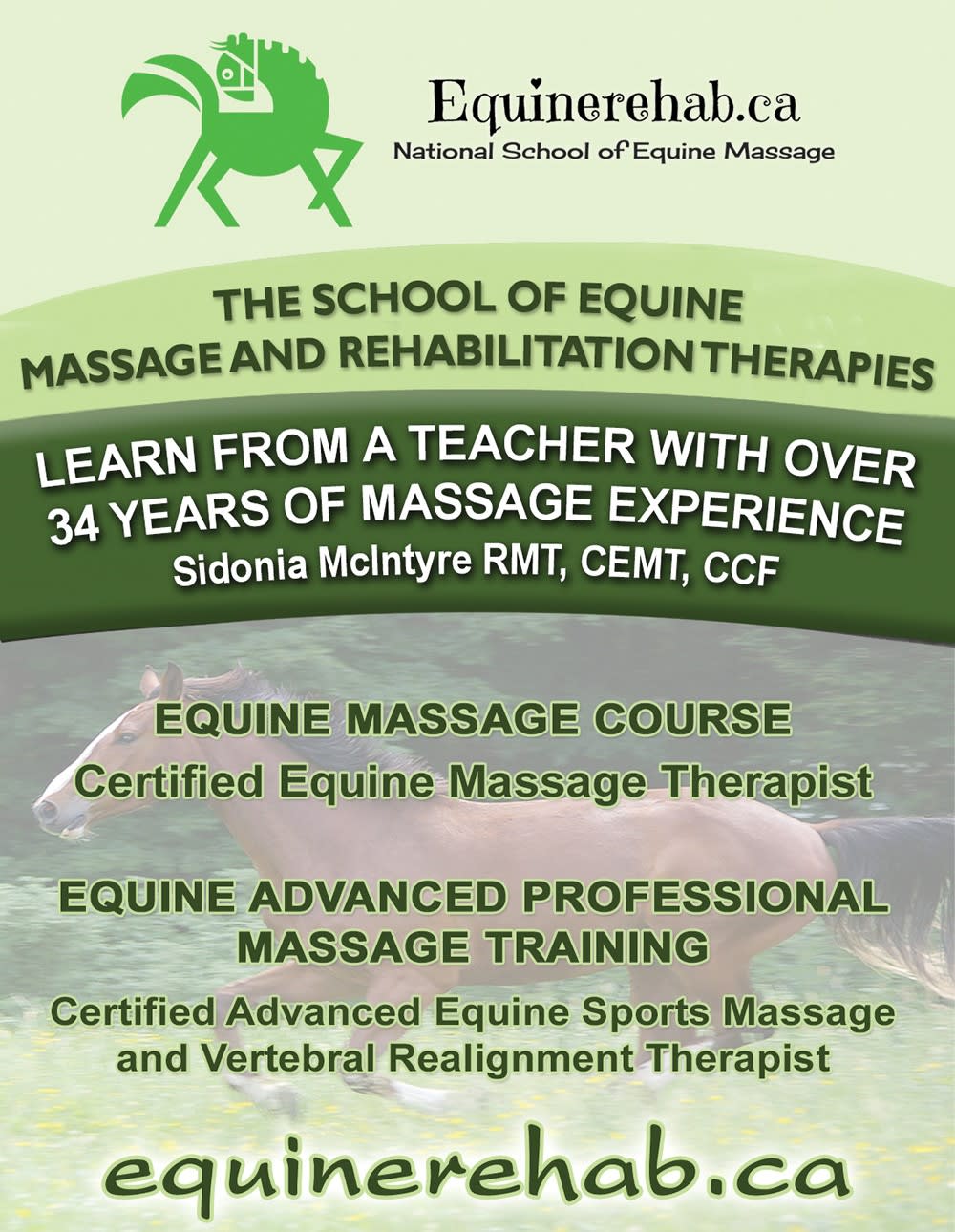 school of equine massage